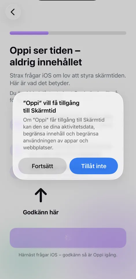 Godkänn iOS-rutan